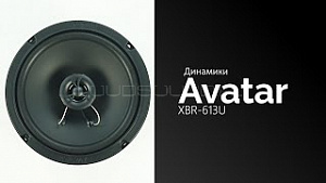Avatar XBR-613U