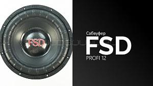 FSD Audio Profi 12" D2